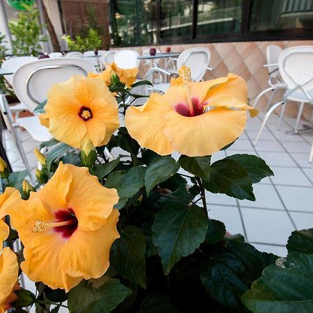 Hotel Scarlet ريميني المظهر الخارجي الصورة